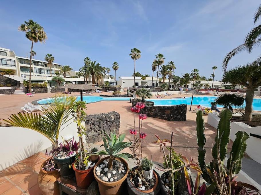 Taisa Playa Roca Apartment *